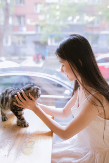 南阳二手车交易市场